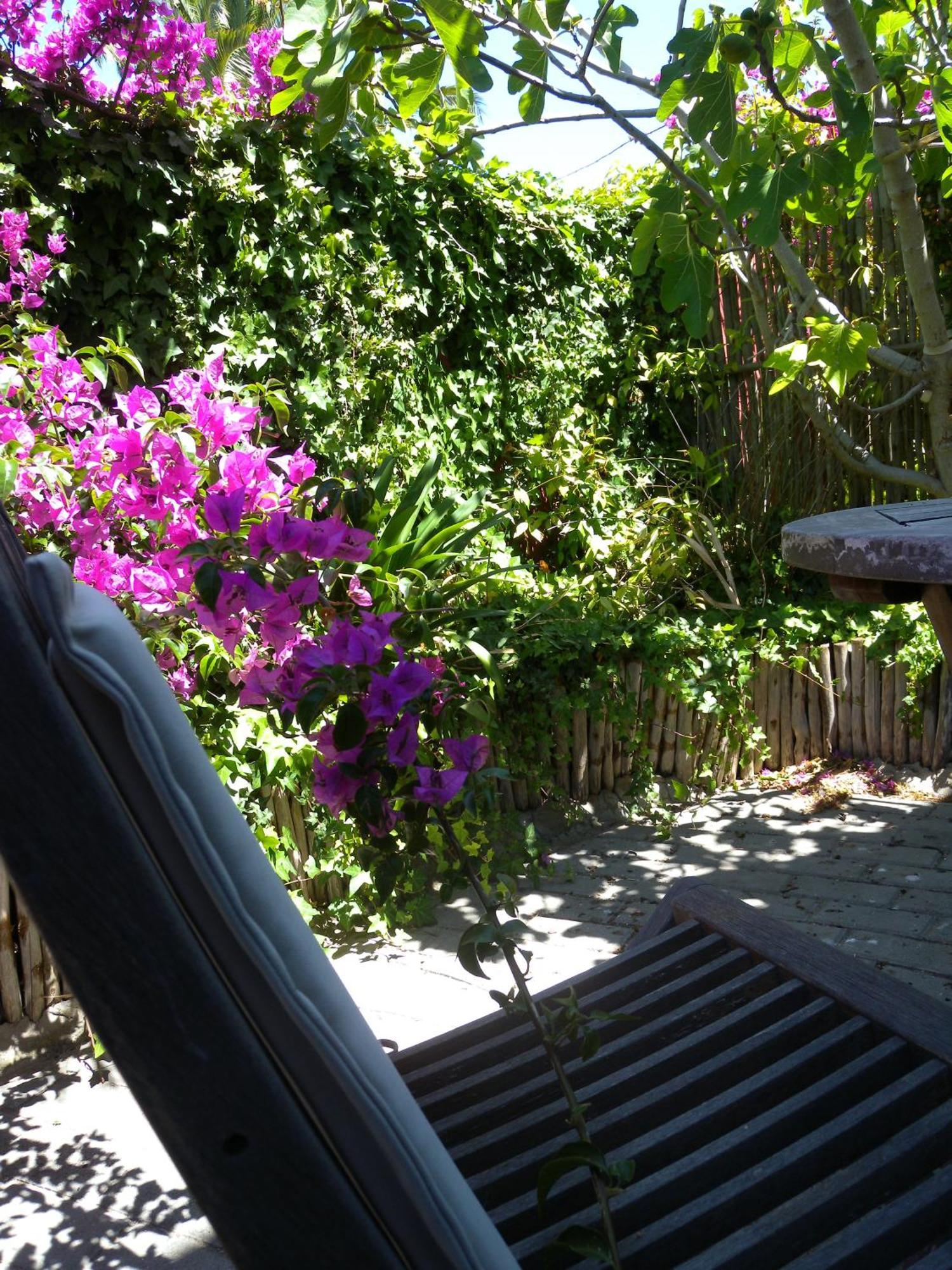 Capetown 4U Guesthouse Bloubergstrand Buitenkant foto